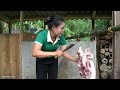 Traditional way to preserve pork: Process & Preserve Pork with Bamboo tubes - Cooking