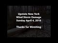 Upstate New York Wind Storm April 4, 2018  (Death of our 75' Beech tree)