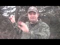Myths and Lies of Turkey Hunting