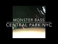 Monster bass Central Park NYC