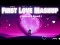 First Love Mashup || LoVE Mashup ( Slowed & Reverb )|| The LoVe Mashup #sadmashup #lofi #lovemashup