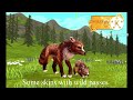 WildCraft skins with wild passes bears walk/attack on 2 feet with wild passes (new update soon)