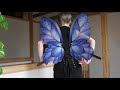 Blue Fairy Wings Timelapse