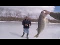 GIANT Walleye- NYS Record?- This is the small one!