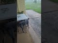 raining days. Southern Mississippi