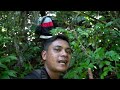 Explore Air Terjun Tengah Hutan Yg Dipenuhi Buah Liar Langka & Hampir Terperosok Jurang