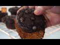 Super Moist Double Chocolate Muffins | Best Recipe