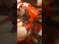 neat little detail in the RG Eva Unit 02
