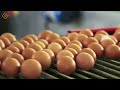 Most Satisfying Food Factory That Are At Another Level #9