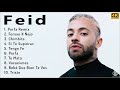 FEID 2022 MIX - Mejores canciones de FEID 2022 - Full Album [1 HORA]