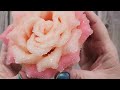 #1939 Borax On A Fabric Flower! Will It Grow Crystals?