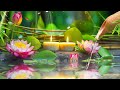 Beautiful Piano Music 🌿 Bamboo, Relaxing Music, Nature Sounds, Relieves Stress Music, Calming Music.