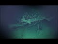 The Shipwrecks of Leyte - Those We Have Found So Far