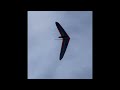 [4K] Riding Fast and Low ( Hang gliding )