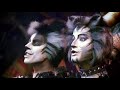 'Jellicle Songs for Jellicle Cats' | Cats The Musical