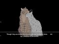 Warrior Cat Facts You Might Not Have Known  {Part 1/2}