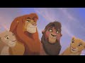 What if Zira was good? (Lion King AU) FULL CROSSOVER
