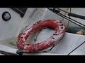 Sailboat Washed Ashore by Storm