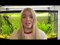 Betta Care Guide - A beginners guide on how to care for betta fish