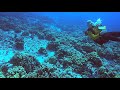 Molokini Crater Front West SCUBA Dive with Lahaina Divers 20201222