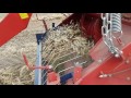 Dry bean harvester thresher - Double Master II | Sweere