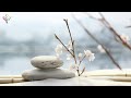 Beautiful Relaxing Music 🌿 Stress relief music, meditation music, SPA music, deep sleep music