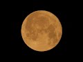 Strawberry Full Moon on the Summer Solstice June 21 2024 in 4K