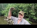 Metal Detecting The Creek