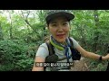 [Hiking] 강원 정선 가리왕산 등산 | 나홀로 한국 최고 원시림의 신비로운 이끼계곡 트레킹 | 장구목이골의 9개의 시원한 이끼폭포 | 거대한 주목군락지 | 산림청 100대명산