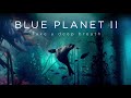 Eel Suffers Toxic Shock From Brine Pool | Blue Planet II