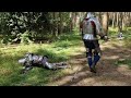 Medieval Armoured Knight Fight with brutal ending! Hema harnischfechten poleaxe duel short movie.