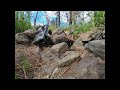 RC crawler truck in creek at gold claim. #shortsvideo #shorts #short #rc #fun #adventure