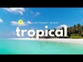 Beau Walker - Dreaming | No Copyright Music (Chill Tropical) | Vlog&background music
