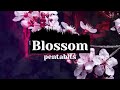 PENTABITS - Blossom