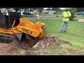 65 excavators removed extremely dangerous tree stumps