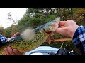 Fall Fishing Harriman State Park (ft. 2 Bald Eagles)