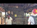 🔴 LIVE: Animal kingdom for Rides and shows at Walt Disney World  7/25/2024