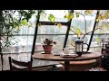 ☕ Warm Jazz Music Cozy Coffee Shop Ambience ~ Relaxing Jazz Instrumental Music for Studying, Working