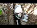 Digging to change the sewer pipe connection p9 - From start to the end (compiled) #timelapse