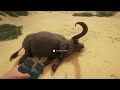 This is the BIGGEST animal I've EVER hunted.. | theHunter: Call of the Wild