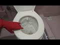 Like a Miracle! Blackened and Calcified Toilet Bowl Cleaning Method