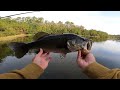 Fishing for 15lb Bass in HIDDEN Trophy Pond!