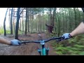 Yearsley Woods MTB