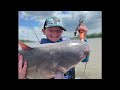 SNAGGING SPOONBILL Lake Of The Ozarks