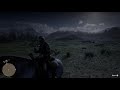 Red Dead Redemption 2_20181105225927