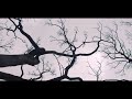 Teflon Sega - Beretta Lake (Unofficial Music Video)