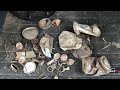 Minelab Manticore - Why did I dig all this crap?