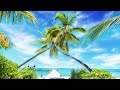Relaxing nature background with nature sound for stress relief | HBP Official