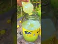 [ 1 HOUR Of Enjoyment ] | Breaking Glass Bottles 🔥Crushing Crunchy (6/1 - 6/10) ! #satisfying #asmr