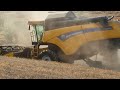 New Holland CX5.90 Hillside [Az. Agr. Di Lorenzo R.] -Harvest Season 2023-